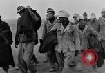 Immagine di British Army 8 Il Nord Africa, 1943, secondo 34 filmato di repertorio 65675044794