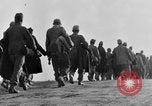 Immagine di British Army 8 Il Nord Africa, 1943, secondo 51 filmato di repertorio 65675044794