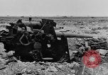Immagine di British Army 8 Il Nord Africa, 1943, secondo 10 filmato di repertorio 65675044795