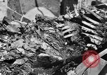 Immagine di British Army 8 Il Nord Africa, 1943, secondo 43 filmato di repertorio 65675044795