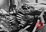 Immagine di British Army 8 Il Nord Africa, 1943, secondo 46 filmato di repertorio 65675044795