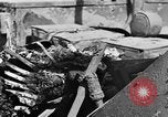 Immagine di British Army 8 Il Nord Africa, 1943, secondo 49 filmato di repertorio 65675044795