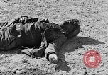 Immagine di British Army 8 Il Nord Africa, 1943, secondo 52 filmato di repertorio 65675044795