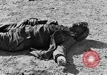 Immagine di British Army 8 Il Nord Africa, 1943, secondo 55 filmato di repertorio 65675044795