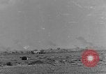 Image of British 8th Army North Africa, 1943, second 41 stock footage video 65675044798