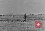 Image of British 8th Army North Africa, 1943, second 53 stock footage video 65675044798