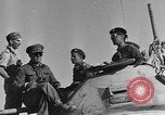 Image of British 8th Army North Africa, 1943, second 3 stock footage video 65675044799