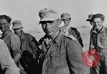 Image of British 8th Army North Africa, 1943, second 26 stock footage video 65675044799