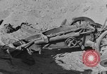 Image of British 8th Army North Africa, 1943, second 42 stock footage video 65675044799