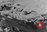 Image of British 8th Army North Africa, 1943, second 44 stock footage video 65675044799
