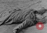 Image of British 8th Army North Africa, 1943, second 50 stock footage video 65675044799