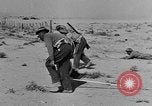Image of British 8th Army North Africa, 1943, second 4 stock footage video 65675044800