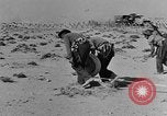 Image of British 8th Army North Africa, 1943, second 7 stock footage video 65675044800