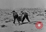 Image of British 8th Army North Africa, 1943, second 10 stock footage video 65675044800