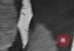Image of British 8th Army North Africa, 1943, second 16 stock footage video 65675044800
