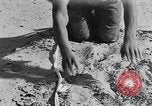 Image of British 8th Army North Africa, 1943, second 31 stock footage video 65675044800