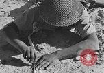 Image of British 8th Army North Africa, 1943, second 34 stock footage video 65675044800