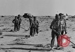 Image of British 8th Army North Africa, 1943, second 42 stock footage video 65675044800