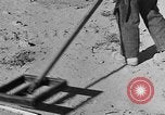 Image of British 8th Army North Africa, 1943, second 46 stock footage video 65675044800