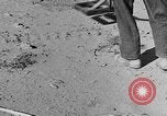 Image of British 8th Army North Africa, 1943, second 47 stock footage video 65675044800