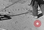 Image of British 8th Army North Africa, 1943, second 49 stock footage video 65675044800