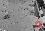 Image of British 8th Army North Africa, 1943, second 50 stock footage video 65675044800