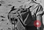 Image of British 8th Army North Africa, 1943, second 51 stock footage video 65675044800