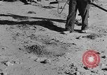Image of British 8th Army North Africa, 1943, second 58 stock footage video 65675044800
