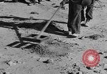 Image of British 8th Army North Africa, 1943, second 59 stock footage video 65675044800