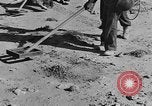 Image of British 8th Army North Africa, 1943, second 60 stock footage video 65675044800