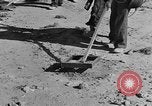 Image of British 8th Army North Africa, 1943, second 61 stock footage video 65675044800