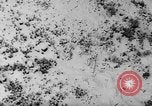 Standbild Alpine Tragödie Österreich, 1954, aus Sekunde 42 historischem Filmmaterial Videoclip 65675044813