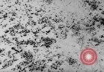Standbild Alpine Tragödie Österreich, 1954, aus Sekunde 43 historischem Filmmaterial Videoclip 65675044813