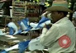 Image Bataille pour la démocratie en El Salvador El Salvador, 1983, de la seconde 49 séquences d'archives historiques vidéo 65675044835