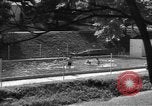 Image piscine United States USA, 1949, de la seconde 1 séquences d'archives historiques vidéo 65675044857