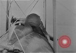 Image of World War I  United States USA, 1918, second 7 stock footage video 65675044887