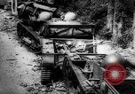 Immagine di Distrutto cingolato tedesco veicoli blindati Europa, 1944, secondo 3 filmato di repertorio 65675044911
