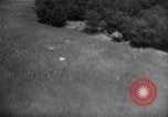 Standbild Junkers Ju-87 (Stuka) dive Bomber Deutschland, 1939, aus Sekunde 5 historischem Filmmaterial Videoclip 65675044920