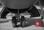 Immagine di Inglesi e americani jet aeroplani militari nei primi anni cinquanta Regno Unito, 1953, secondo 6 filmato di repertorio 65675044932