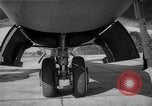 Immagine di Inglesi e americani jet aeroplani militari nei primi anni cinquanta Regno Unito, 1953, secondo 8 filmato di repertorio 65675044932