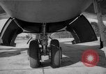 Immagine di Inglesi e americani jet aeroplani militari nei primi anni cinquanta Regno Unito, 1953, secondo 9 filmato di repertorio 65675044932