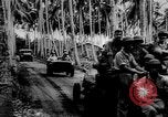 Standbild Seabees Guadalcanal Salomonen, 1942, aus Sekunde 43 historischem Filmmaterial Videoclip 65675044967