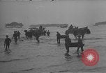 Immagine di Stati Uniti acquisisce Rendova Isola Isole Salomone, 1943, secondo 58 filmato di repertorio 65675044969