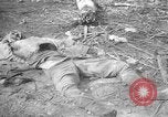 Immagine di Seabees Isole Salomone, 1943, secondo 32 filmato di repertorio 65675044970