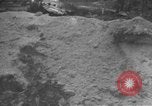 Immagine di Seabees Isole Salomone, 1943, secondo 39 filmato di repertorio 65675044970