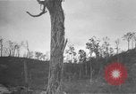 Immagine di Seabees Isole Salomone, 1943, secondo 62 filmato di repertorio 65675044970
