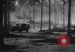 Immagine di Seabees Isole Salomone, 1943, secondo 3 filmato di repertorio 65675044971