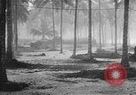 Immagine di Seabees Isole Salomone, 1943, secondo 6 filmato di repertorio 65675044971