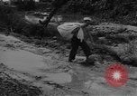 Immagine di Seabees Isole Salomone, 1943, secondo 35 filmato di repertorio 65675044971