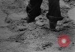 Immagine di Seabees Isole Salomone, 1943, secondo 38 filmato di repertorio 65675044971